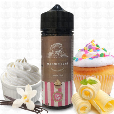 Steam Train - Magnificent