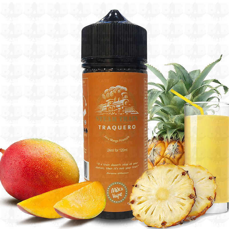 Steam Train - Traquero Steam Train - Traquero